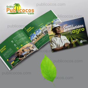 Brochures corporativos - Image 2