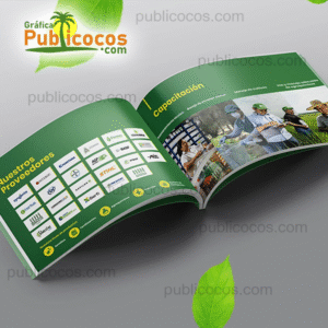 Brochures corporativos - Image 3